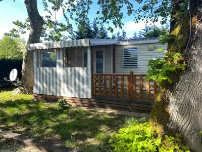 Jardin de l'établissement Mobilhome 516