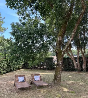 Jardin de l'établissement Villa à la Plage
