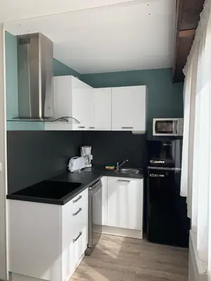 Cuisine ou kitchenette dans l'établissement Le Village Vacances de Mimizan Plage