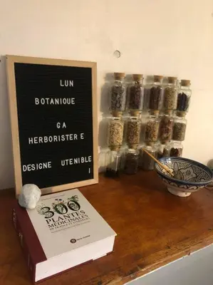 Plan de l'établissement Cosy Cabane Boise solaire, Balneo bath et toilette seche a la Ferme