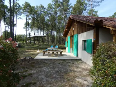 Jardin de l'établissement Gite vert