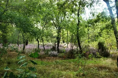 Paysage naturel près de la maison de vacances