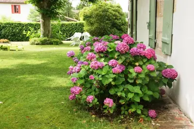 Jardin de l'établissement Maison abelia