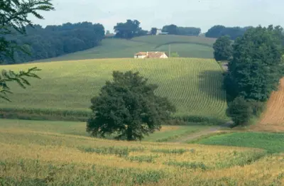 Paysage naturel près de la maison de vacances