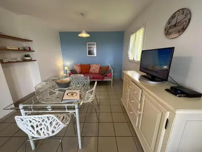 Télévision ou salle de divertissement dans l'établissement Seignanx