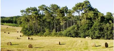 Paysage naturel près de la maison de vacances
