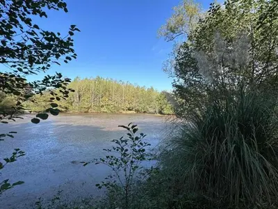 Paysage naturel près de la maison de vacances