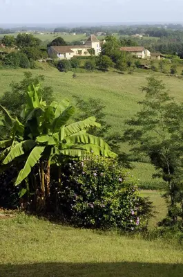 Paysage naturel près de la maison de vacances