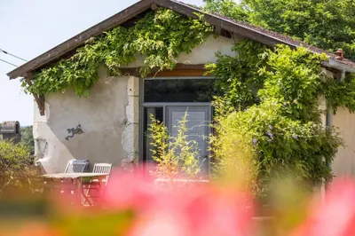 Jardin de l'établissement Cabernet
