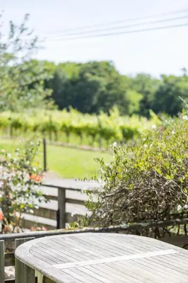 Jardin de l'établissement Cabernet