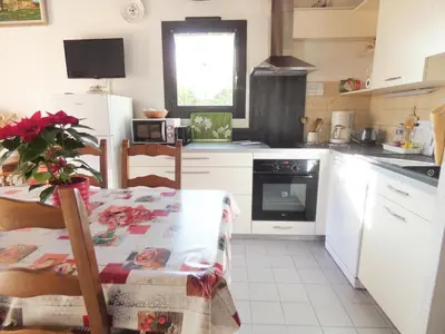 Cuisine ou kitchenette dans l'établissement Aurus ii