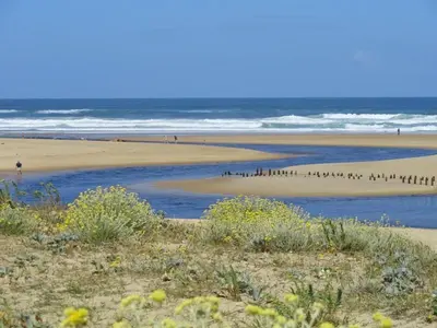 Paysage naturel près de la maison de vacances