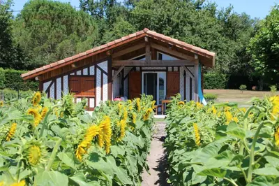 Jardin de l'établissement Pierron