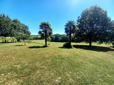 Paysage naturel près de la maison de vacances