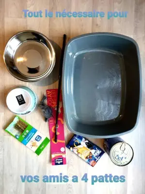 Plan de l'établissement Cocooning