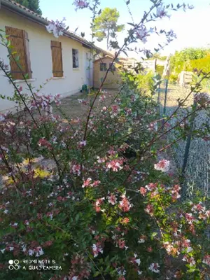 Jardin de l'établissement Villa Nancea Bassin Arcachon Gujan Mestras
