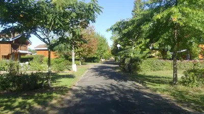 Jardin de l'établissement A BIAS Chalet 4 à 6 Personnes Entièrement Climatisé Chargeur VE 7kw-Wifi-Balnéo et Piscine