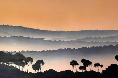 Paysage naturel près de la villa