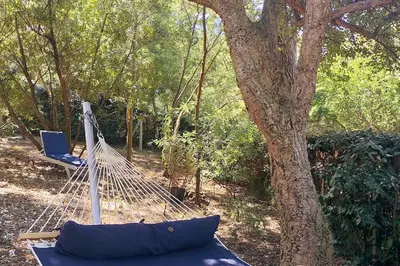 Jardin de l'établissement Villa sous les pins, plage à pied! Seignosse Océan