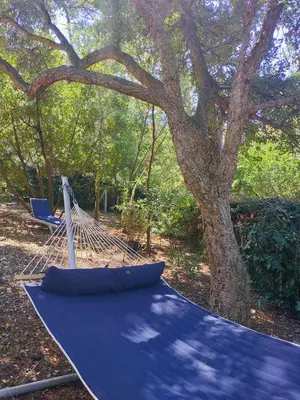 Jardin de l'établissement Villa sous les pins, plage à pied! Seignosse Océan