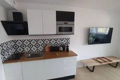 Cuisine ou kitchenette dans l'établissement La Junior Suite
