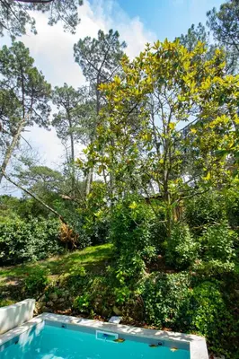 Jardin de l'établissement Cabane forêt proche plage avec piscine partagée