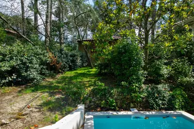 Piscine de l'établissement Cabane forêt proche plage avec piscine partagée ou située à proximité
