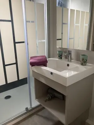 Salle de bains dans l'établissement Cottage Le Colibri - sauna hammam parc multisports tout confort
