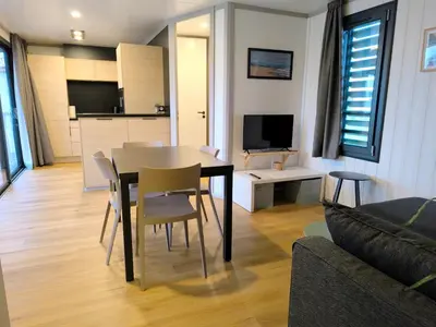 Télévision ou salle de divertissement dans l'établissement cottage familial piscine dans les Landes