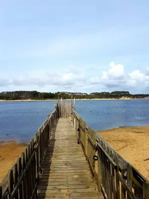Paysage naturel près de la maison de vacances