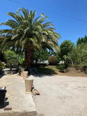 Jardin de l'établissement Maison des 5 Fleurs 14 pers