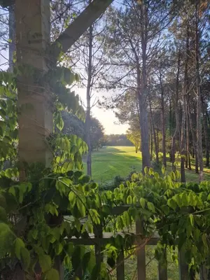 Jardin de l'établissement Petite Villa La Pantoufle au Domaine du Golf de Pinsolle