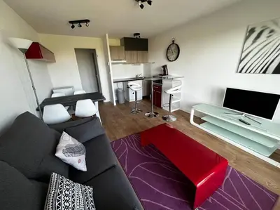 Télévision ou salle de divertissement dans l'établissement Le Nid du Teich