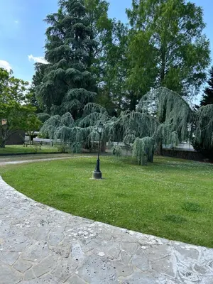 Jardin de l'établissement Le Montmieri