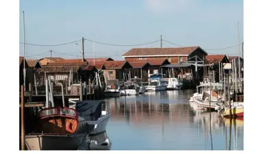 Vue sur la rivière ou le fleuve situé(e) à proximité de la maison de vacances