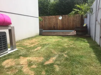 Jardin de l'établissement Maison, piscine centreville Gujan-Mestras 4 hôtes
