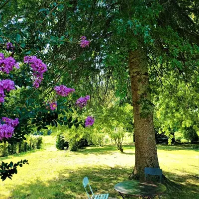 Jardin de l'établissement Chambres d'hôtes Villa Lortin