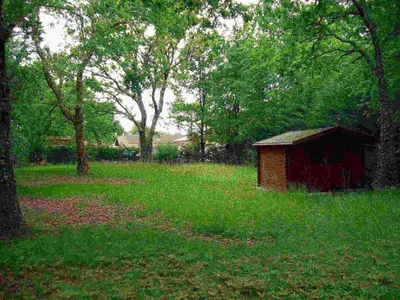 Jardin de l'établissement Carpe diem bis