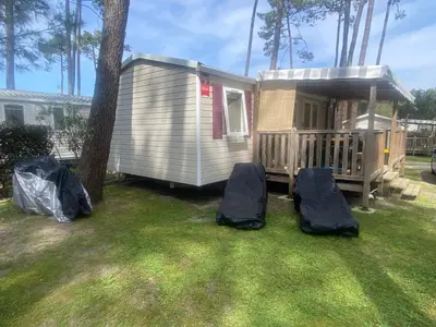 Jardin de l'établissement Résidence des dunes de Contis