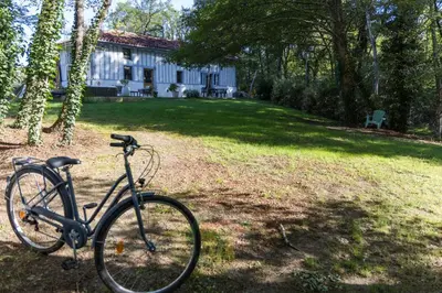 Vélo sur le terrain de l'établissement Gite et Spa La Bougerie ou dans les environs