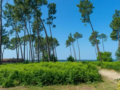 Paysage naturel près de la maison de vacances