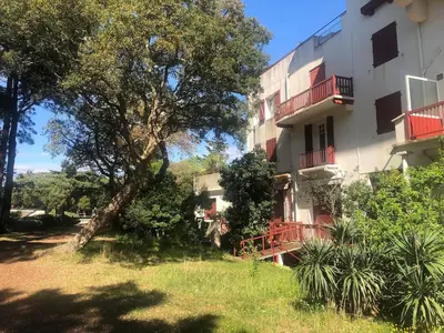 Jardin de l'établissement LAC HOSSEGOR JARDIN T3