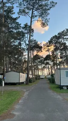 Paysage naturel près de le camping