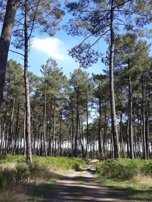 Paysage naturel près de le séjour chez l'habitant