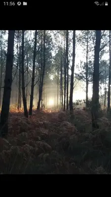 Paysage naturel près de le séjour chez l'habitant