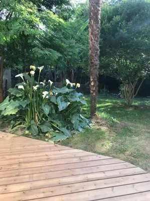Jardin de l'établissement Maison du Saleys
