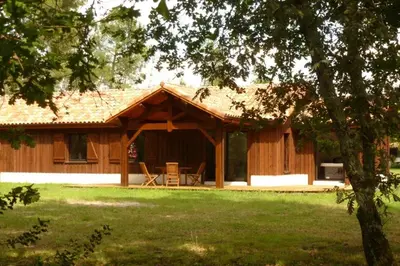 Jardin de l'établissement Chalet en forêt landaise avec jacuzzi dintérieur