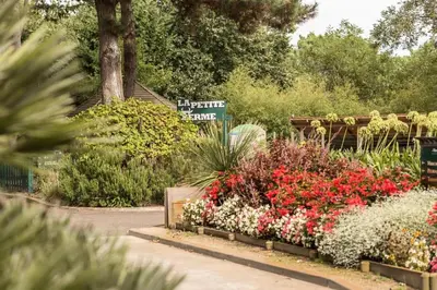 Jardin de l'établissement Village Moliets - maeva Home - 2 Pièces 5 Personnes Confort MAE-2172