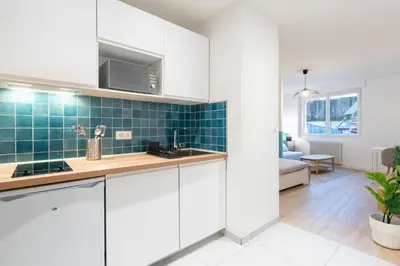Cuisine ou kitchenette dans l'établissement Le Cocon, Dax, Studio cœur de ville