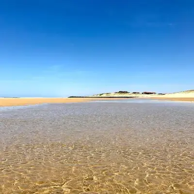 Vue Mer - Au Coeur de Contis Plage